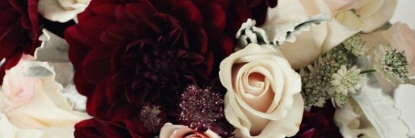 Laylaniann's profile banner image