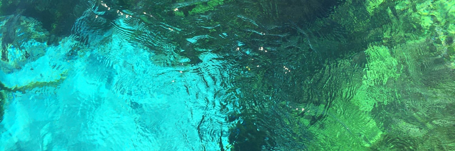 eylulbalcioglu's profile banner image