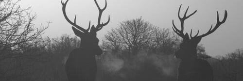 Amanda_Dallas15's profile banner image