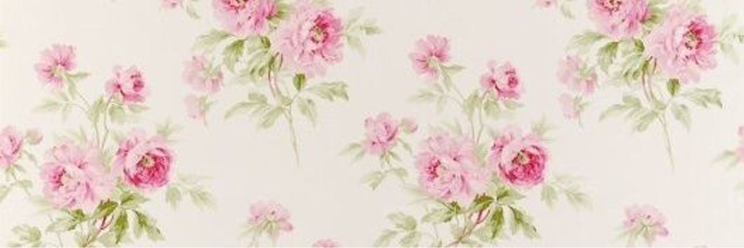 aptallarrr's profile banner image
