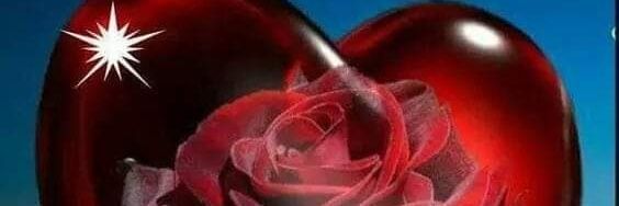 myar2169's profile banner image