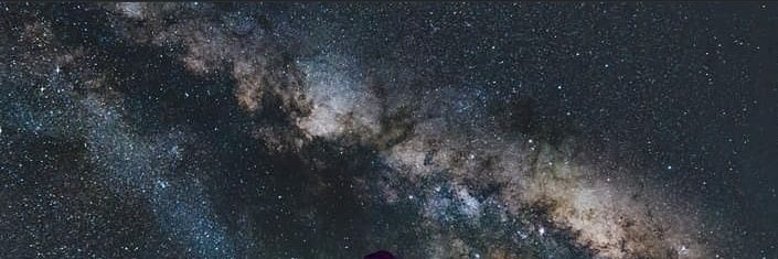 Sunflowerflee's profile banner image