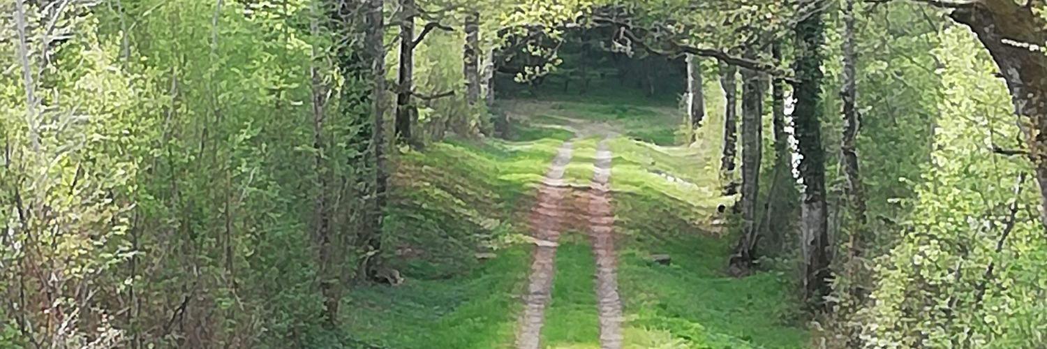 LandryPhilippe's profile banner image