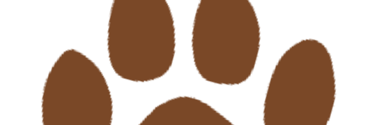 allyteusa's profile banner image
