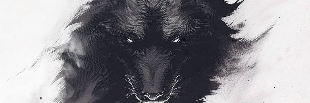 ali_shnnn's profile banner image