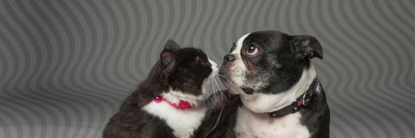 OSPCASDG Profile Banner