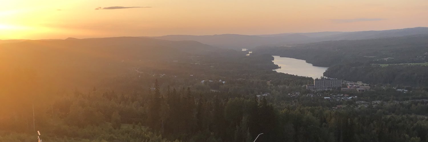 Tschwensson's profile banner image