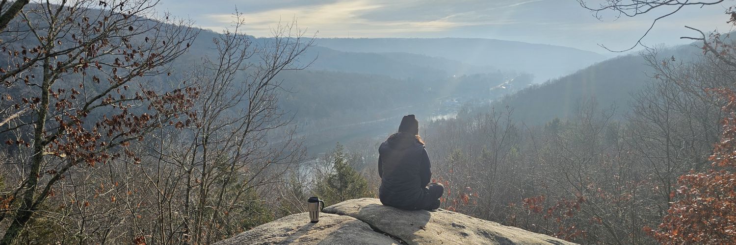 basicallymuppet's profile banner image