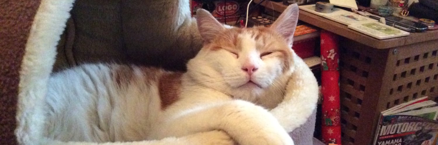 💕 Laura 📚 banner