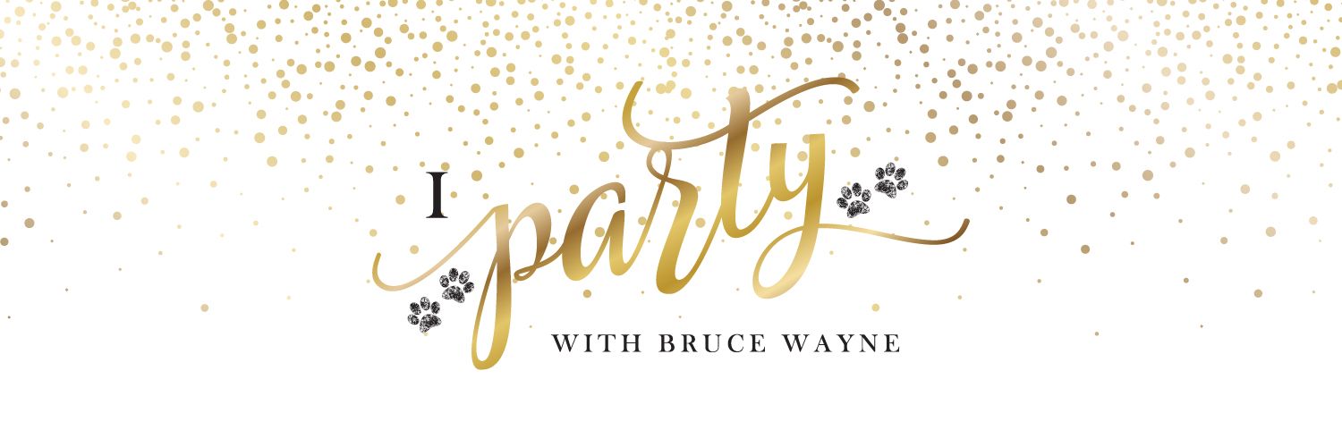 Bruce Wayne & Co. 🦇 banner