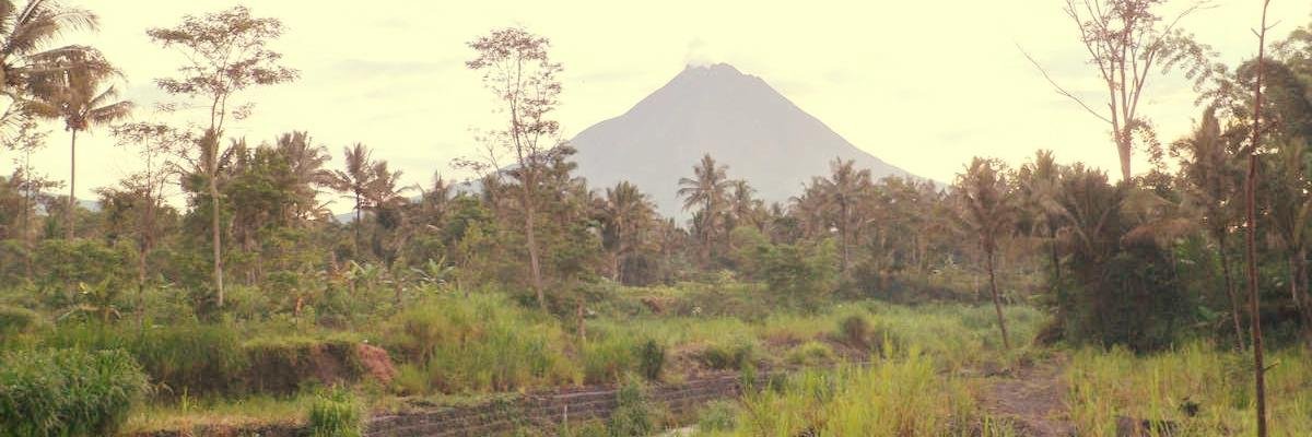 0zzann's profile banner image