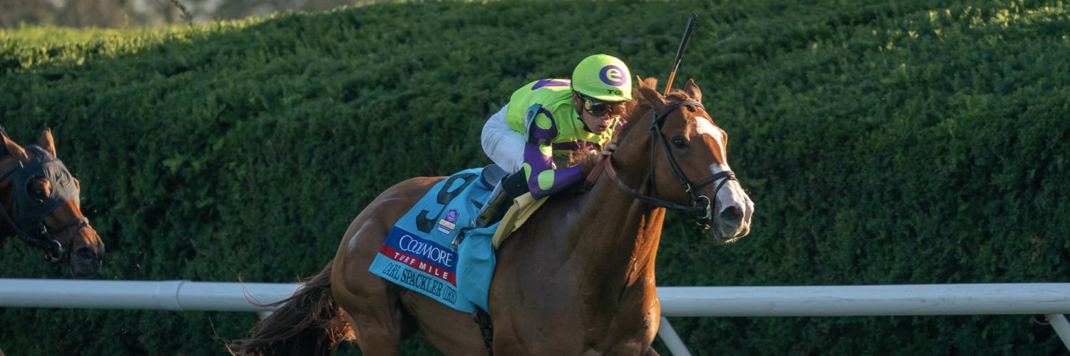 e Five Racing Thoroughbreds banner