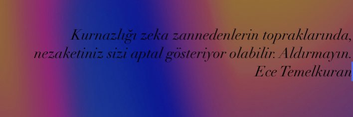 eyll_bilgin's profile banner image