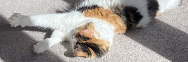 daveclarkefive Profile Banner