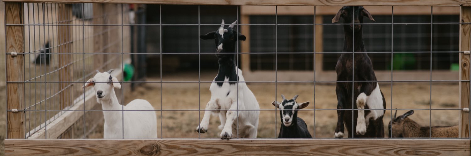 Jessica Manfre, LCSW banner