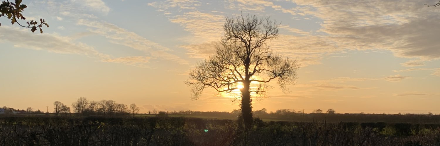 NickyGoodwin79's profile banner image