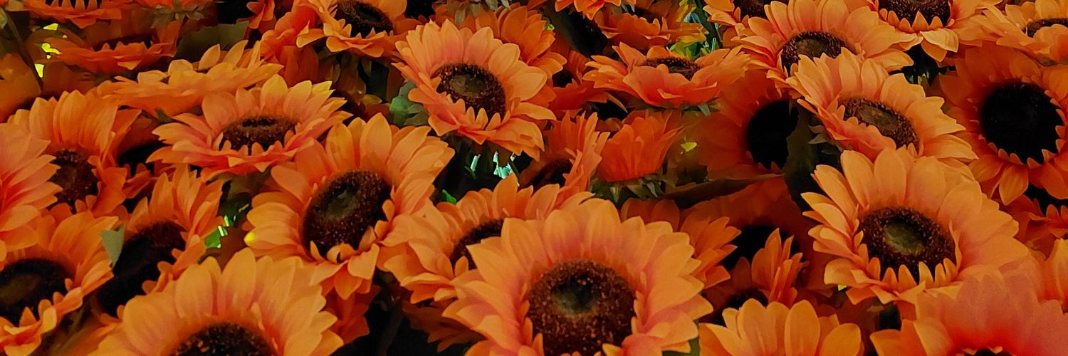 BethAahh's profile banner image