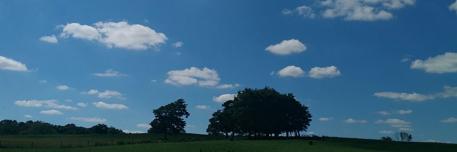 JaciElise's profile banner image