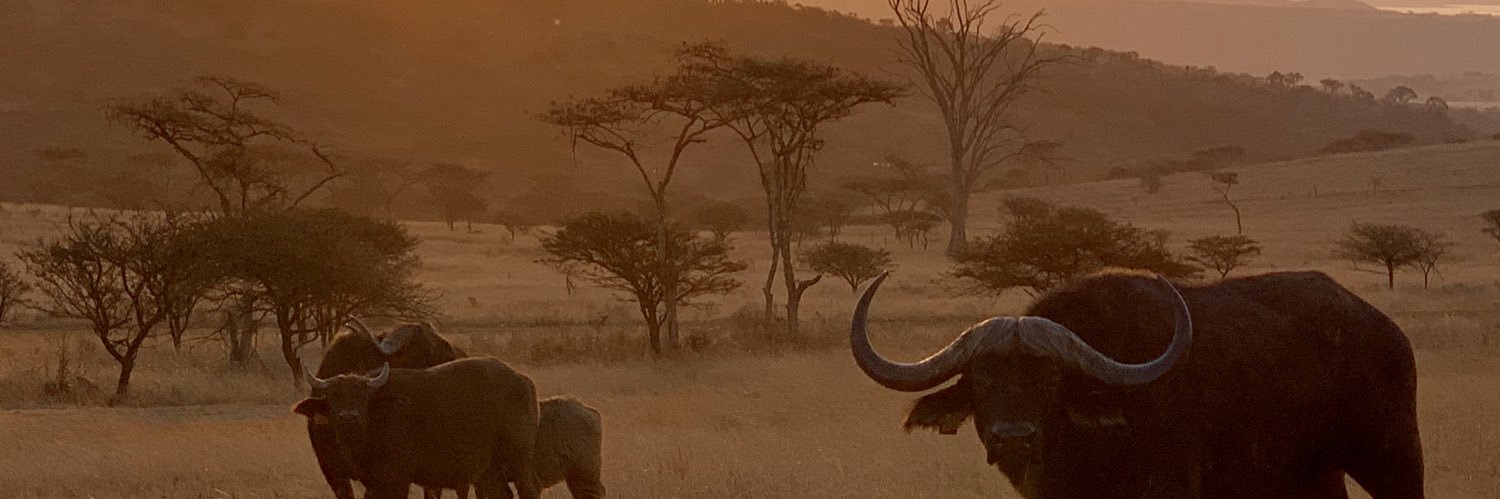 gazzacrouch's profile banner image