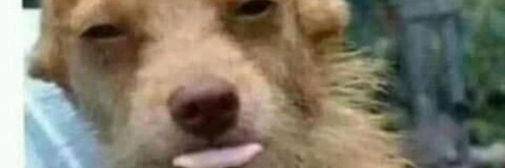 Mart42_0's profile banner image