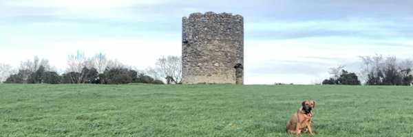 arrafferty Profile Banner