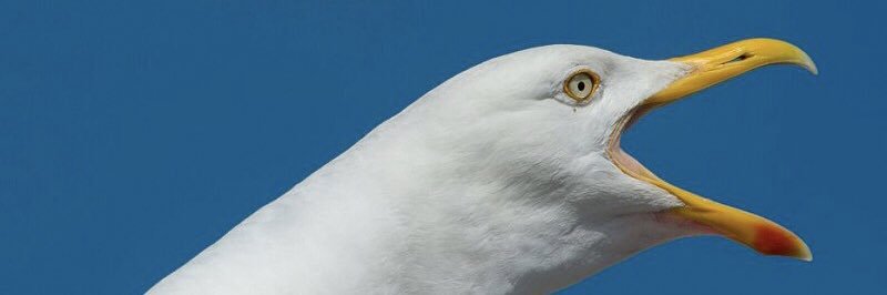 PeyvandiMostafa's profile banner image