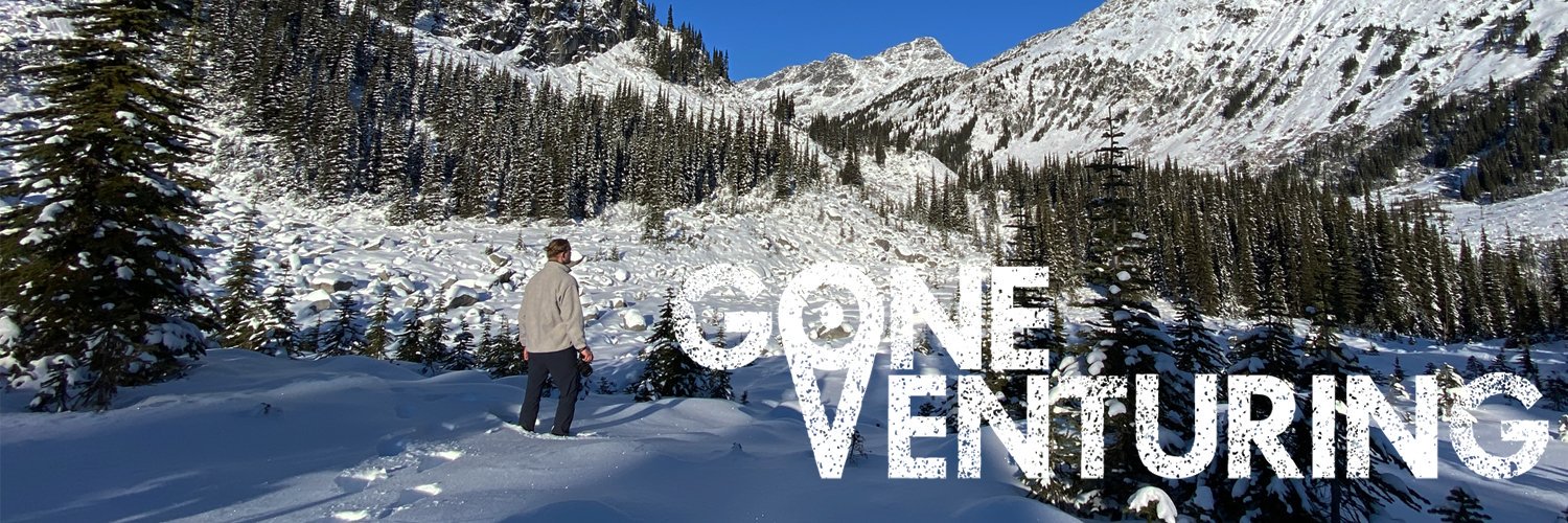 Gone Venturing banner