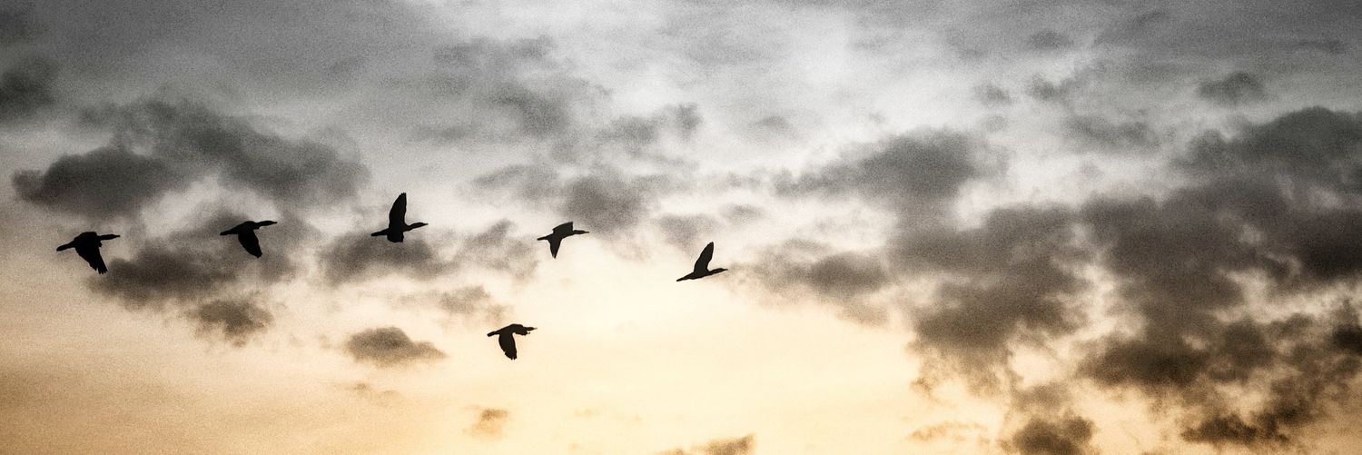 markcameron666's profile banner image