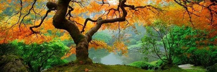 EmmanuelCassata's profile banner image