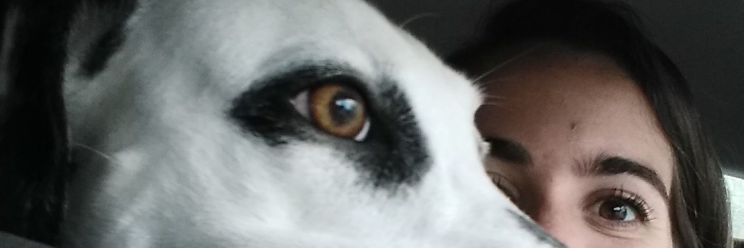 cuki mateo banner