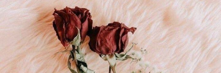 bussra_de's profile banner image