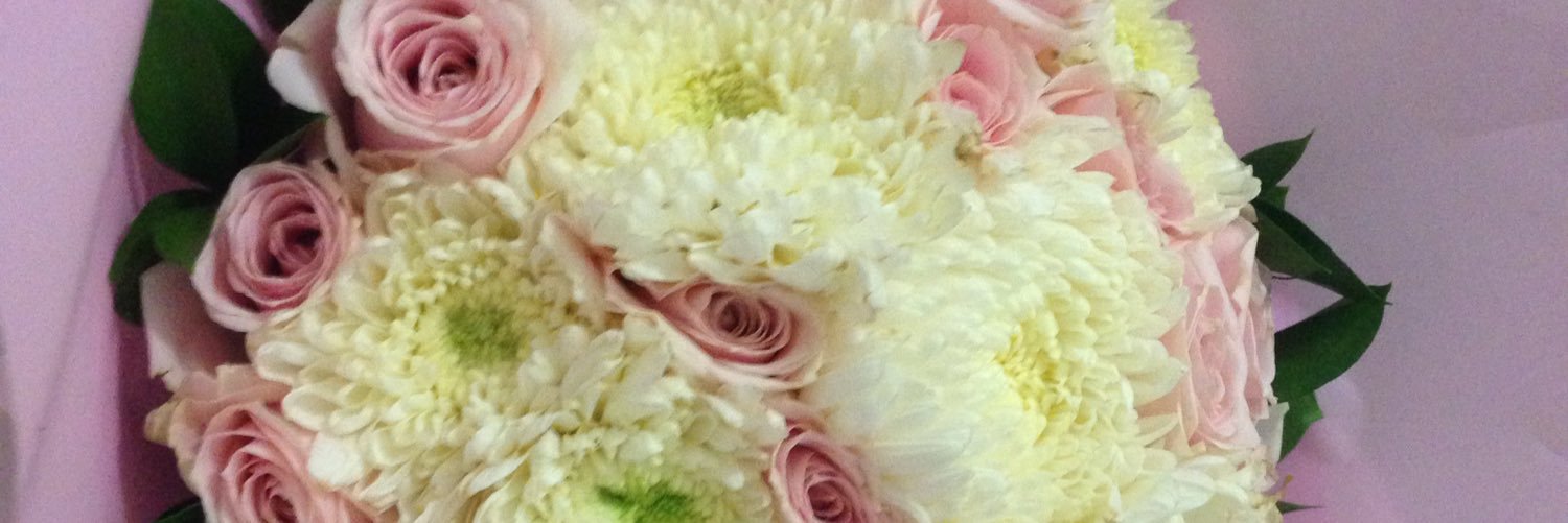 shellagustiani's profile banner image