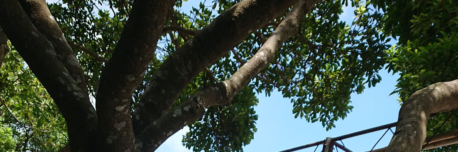 kuronoatr77's profile banner image