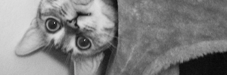 LiiQm's profile banner image