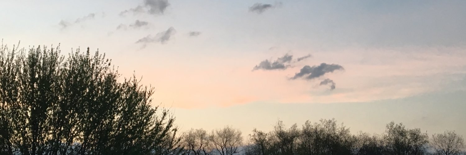 silence2strngth's profile banner image