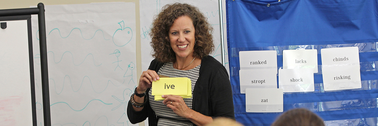 Wilson Language Training banner