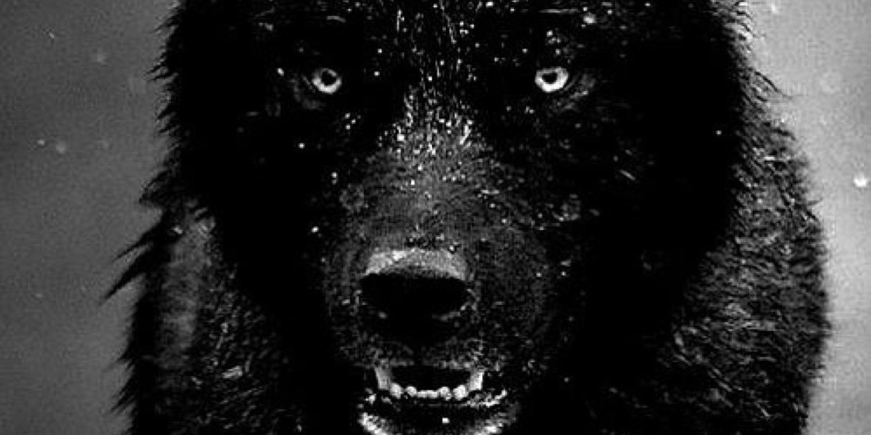 MosesMalone69's profile banner image