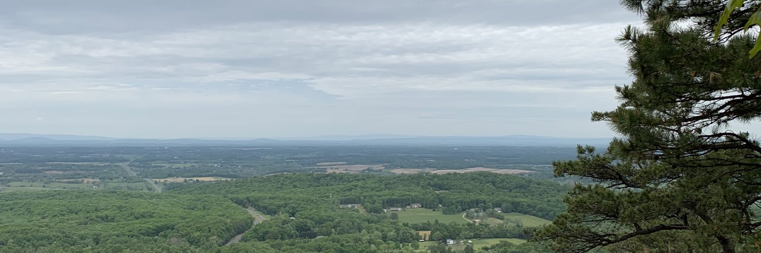 dantonucci21's profile banner image