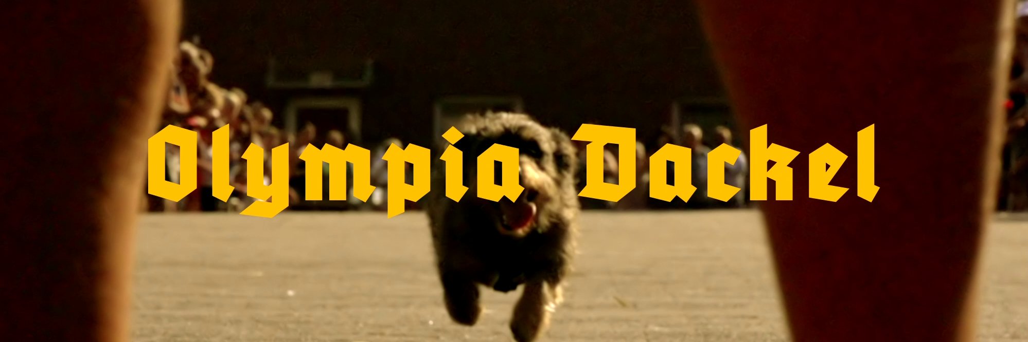 dandepanda's profile banner image