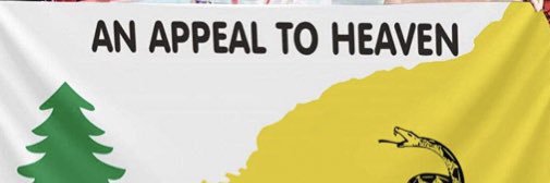 Dr. Mikey PhD banner