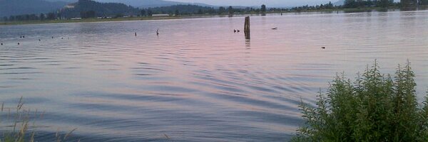 PsInAPod Profile Banner