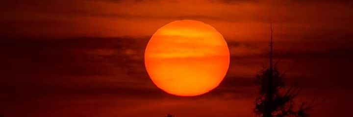 KMegson1's profile banner image