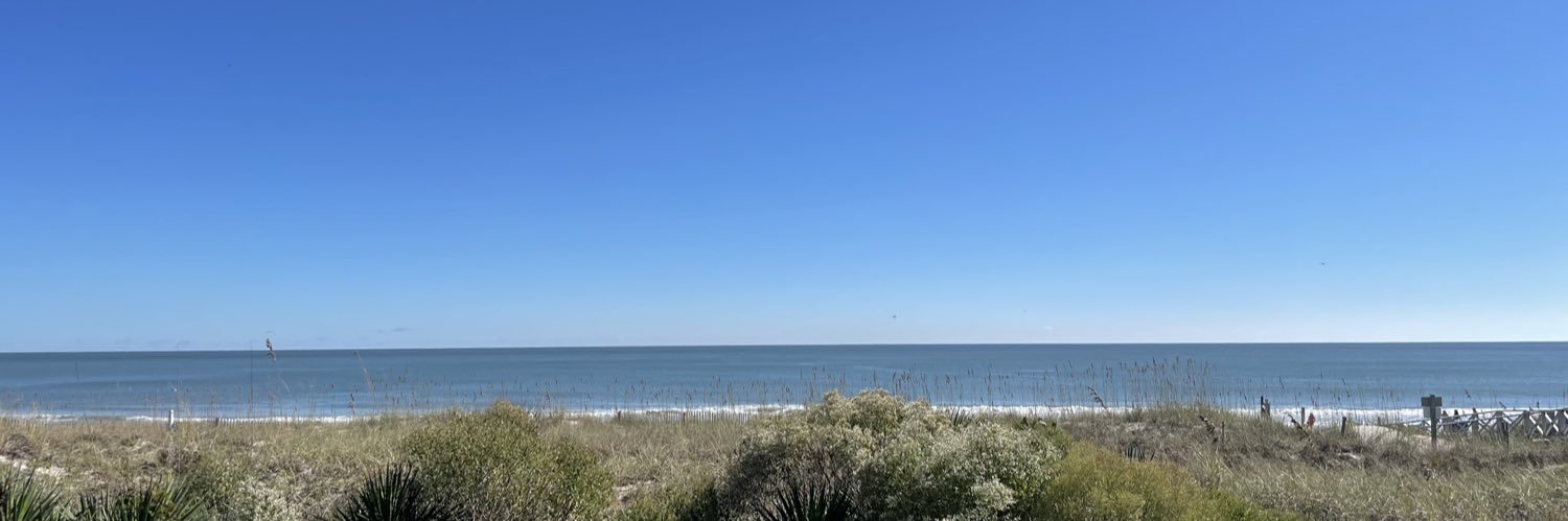 Elizabeth Mosimann banner