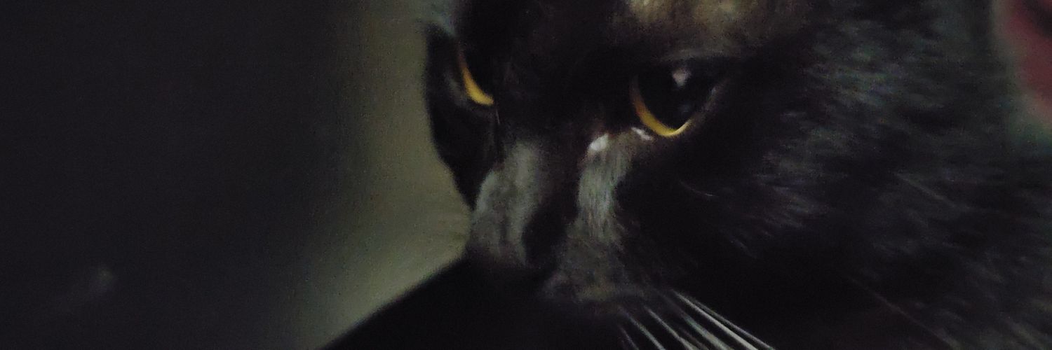 dazigor_'s profile banner image
