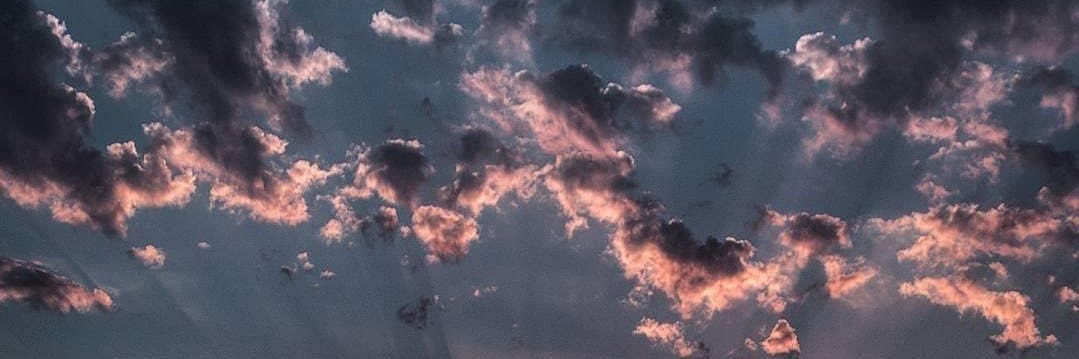 RoseErdman3's profile banner image