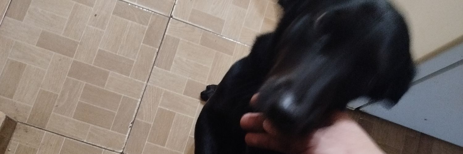 oggmeza's profile banner image