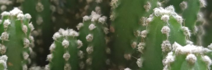 jackcobra110's profile banner image