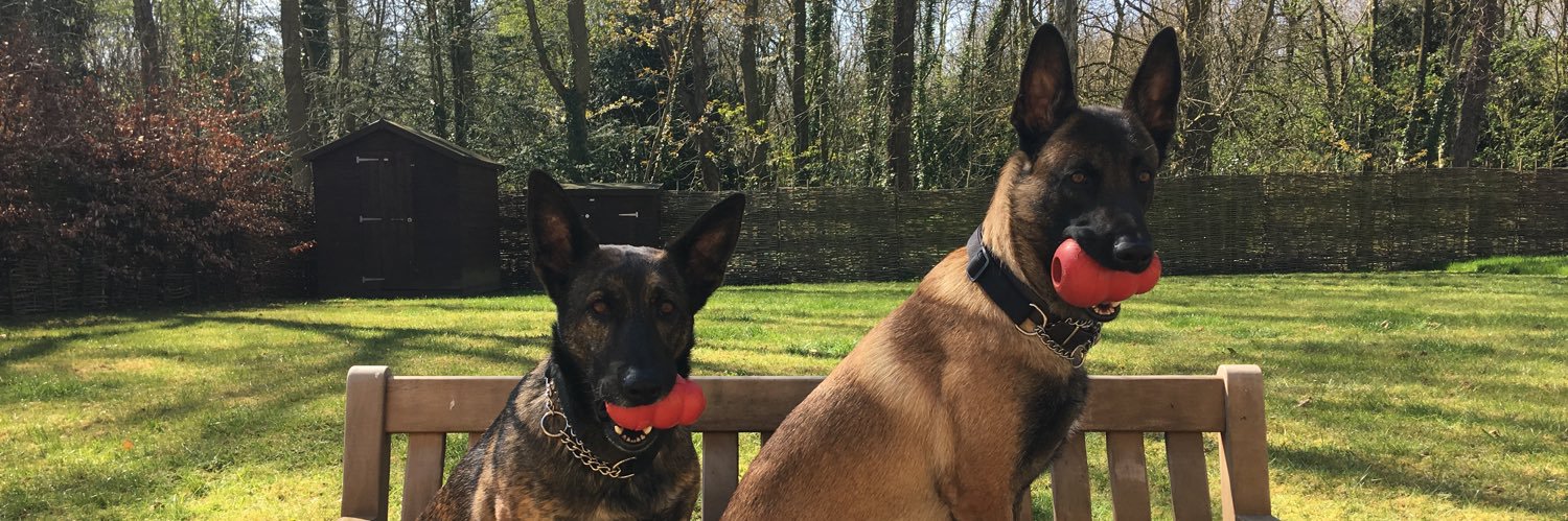 K9SPUK's profile banner image