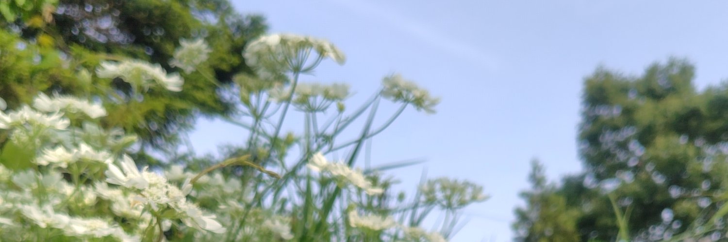 ndf127's profile banner image