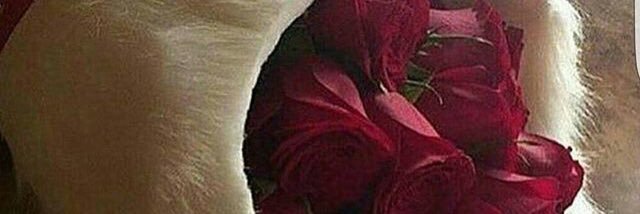 OTHMANAZOZ's profile banner image